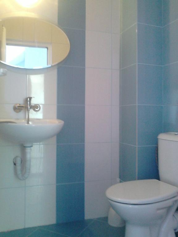 Вила Синя Иглика Kosharitsa Room photo