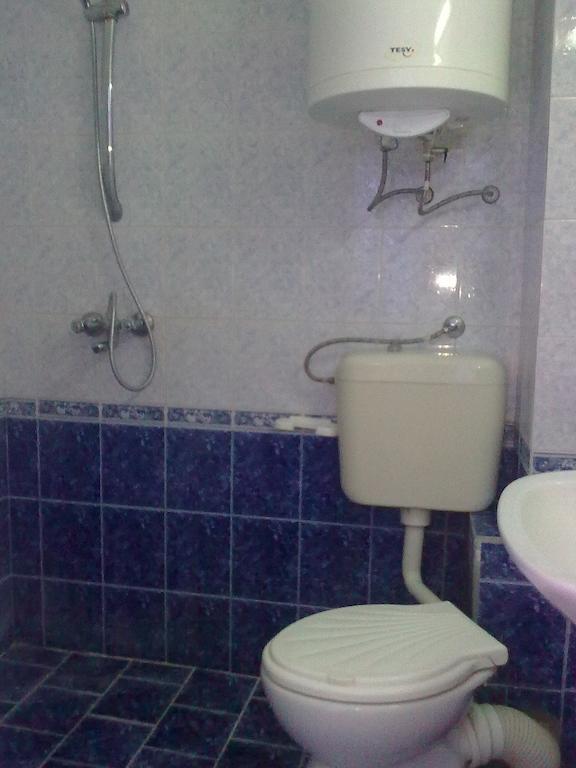 Вила Синя Иглика Kosharitsa Room photo