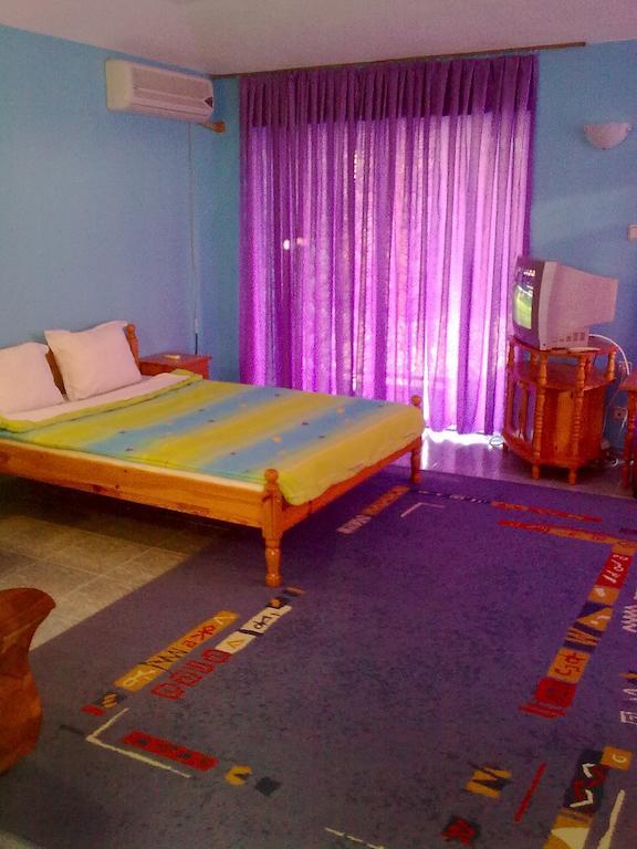 Вила Синя Иглика Kosharitsa Room photo
